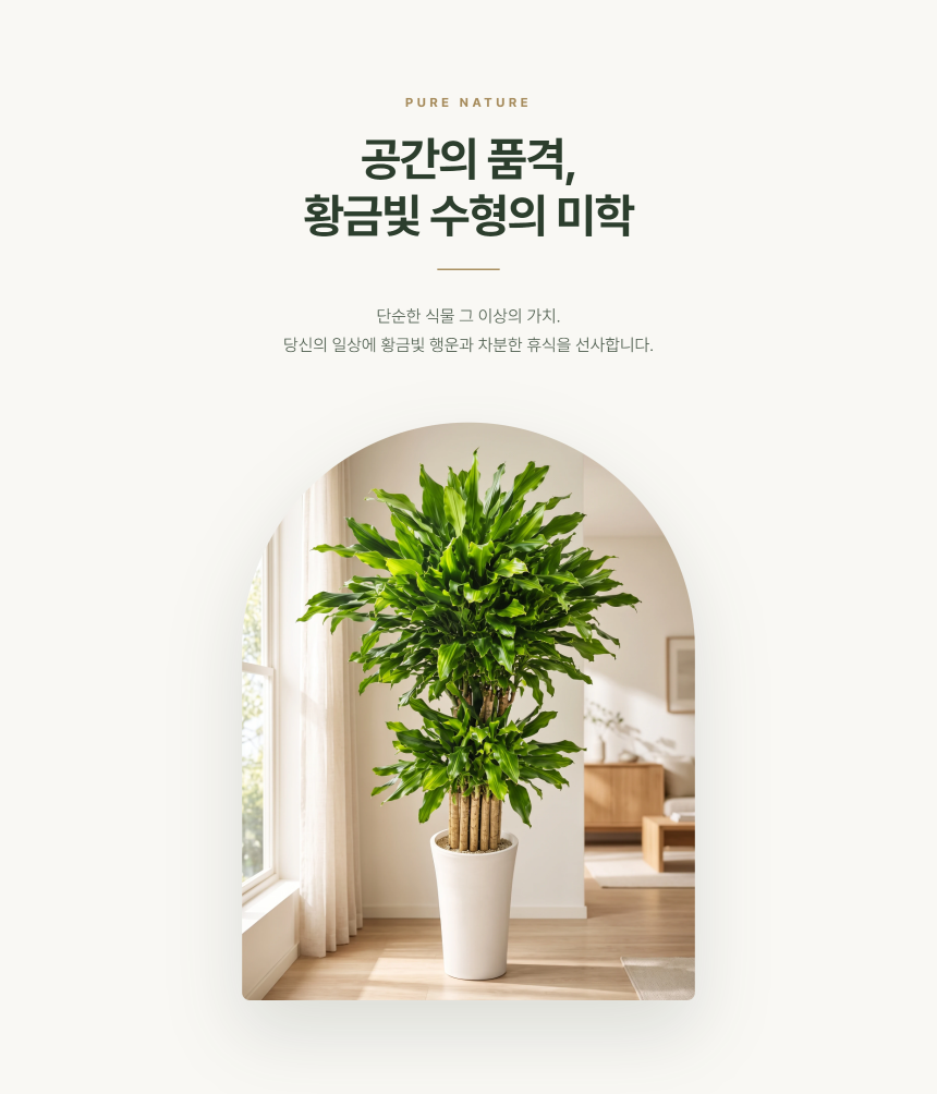section-01.png b84ca350f2b43a8c3744a49c27db31e0_1787881587_8636.png