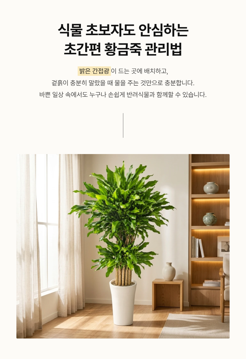 section-05.png b84ca350f2b43a8c3744a49c27db31e0_1787881588_0132.png