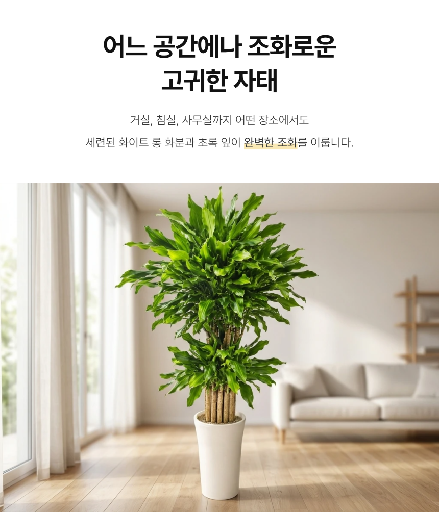 section-06.png b84ca350f2b43a8c3744a49c27db31e0_1787881588_0288.png