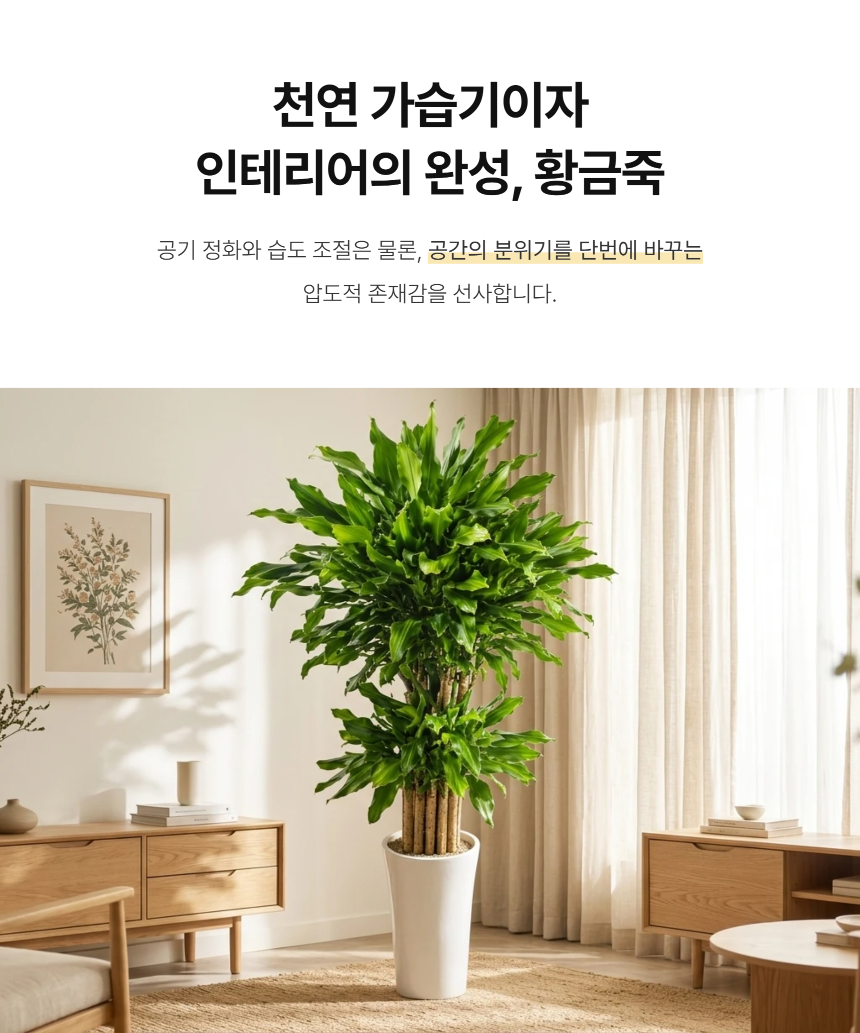 section-03.png b84ca350f2b43a8c3744a49c27db31e0_1787881588_0632.png