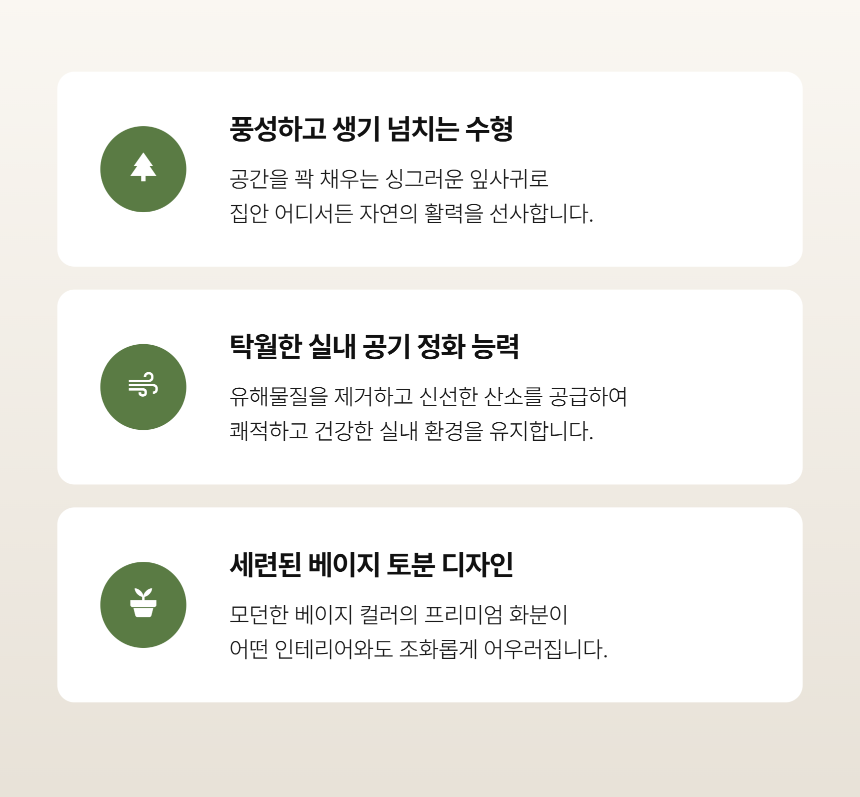 section-04.png b84ca350f2b43a8c3744a49c27db31e0_1787881806_8674.png