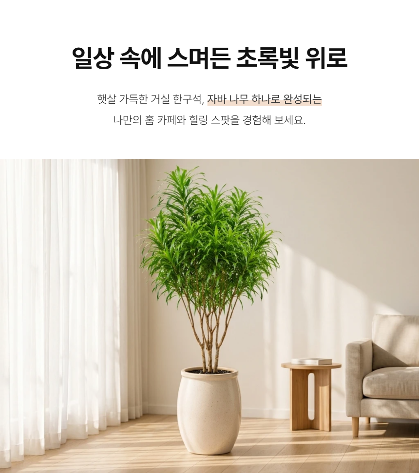 section-02.png b84ca350f2b43a8c3744a49c27db31e0_1787881807_0457.png
