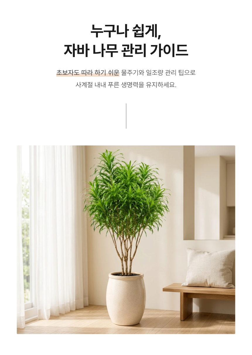 section-05.png b84ca350f2b43a8c3744a49c27db31e0_1787881807_2346.png