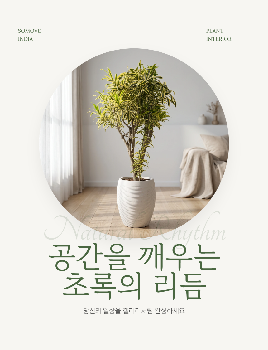 section-01.png b84ca350f2b43a8c3744a49c27db31e0_1787883041_1145.png