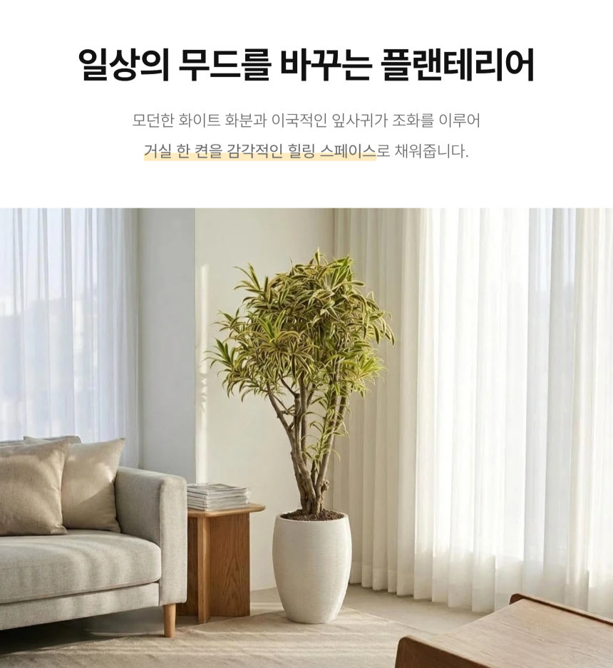 section-02.png b84ca350f2b43a8c3744a49c27db31e0_1787883041_1618.png