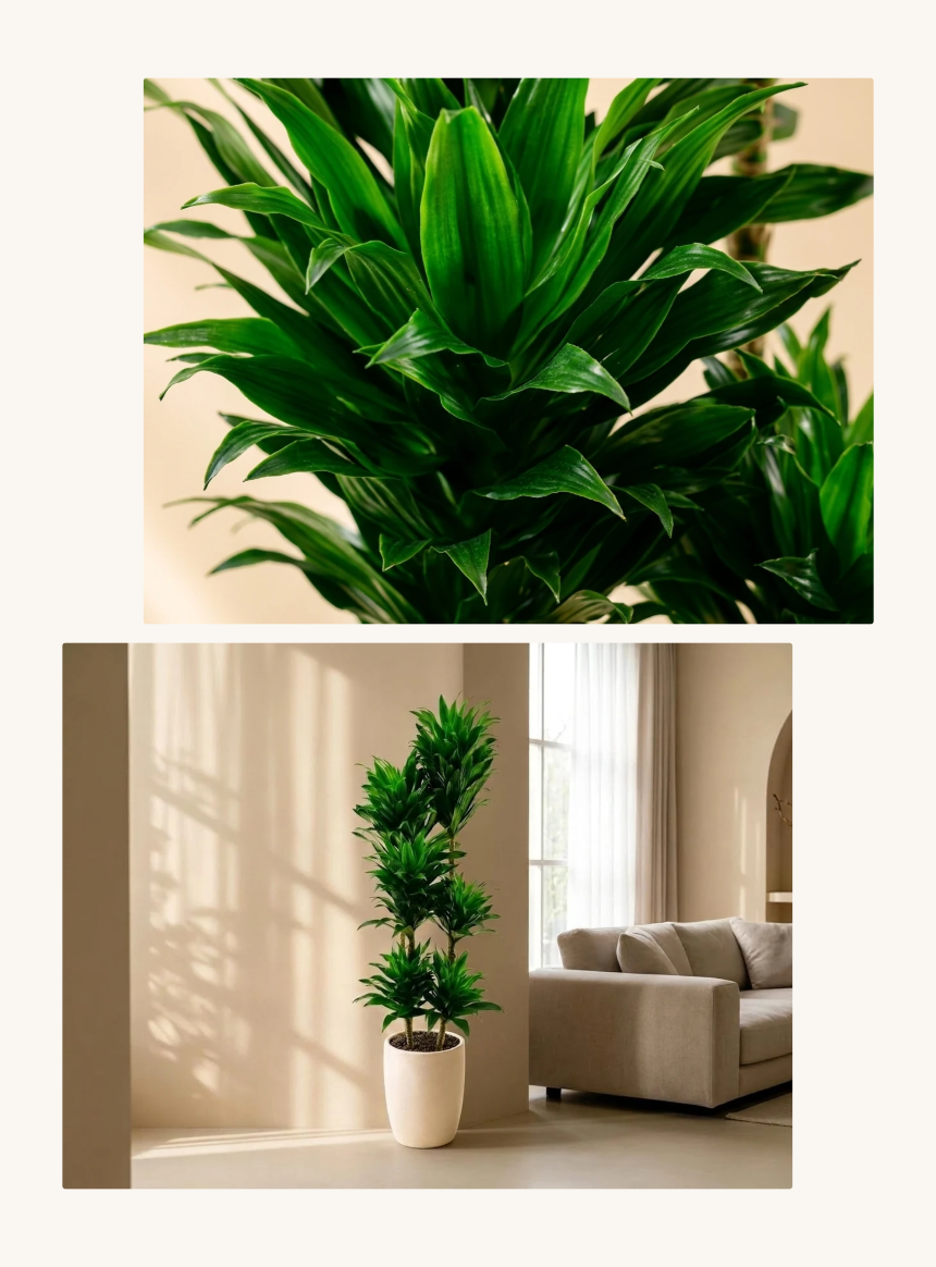 section-03.png b84ca350f2b43a8c3744a49c27db31e0_1787883649_0687.png