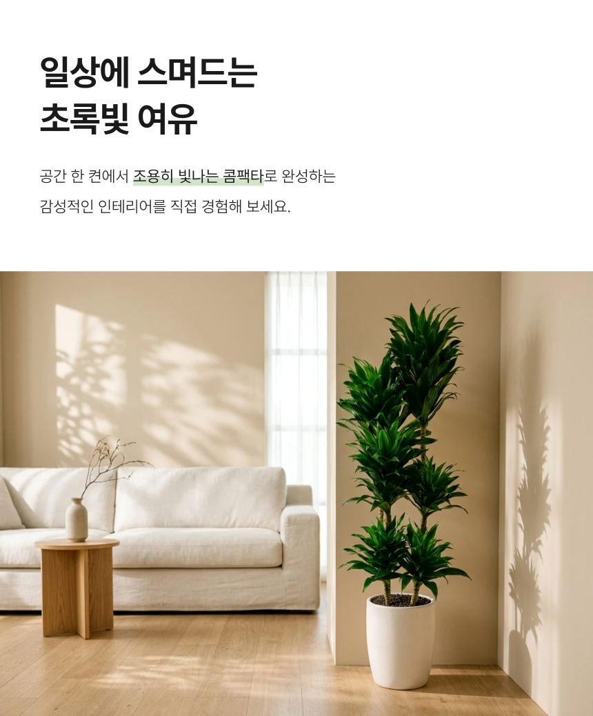 section-02.png b84ca350f2b43a8c3744a49c27db31e0_1787883649_0744.png