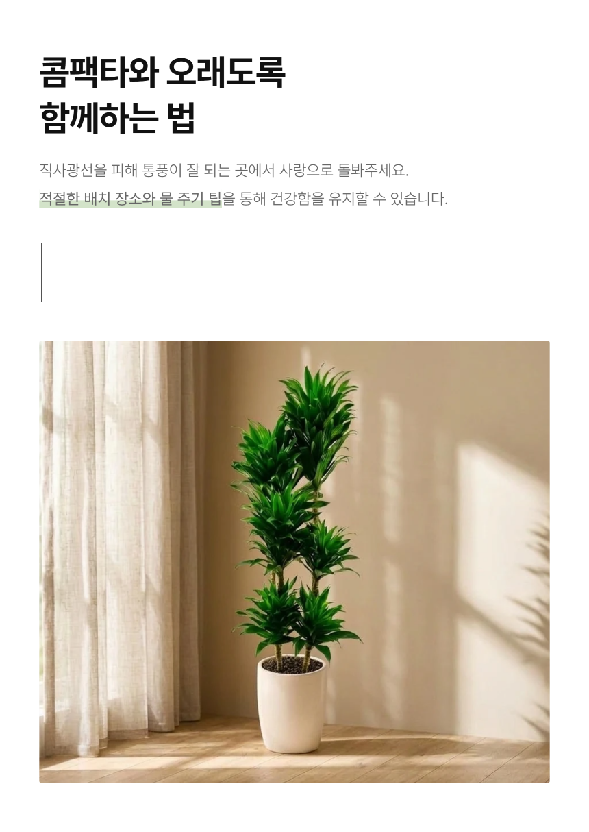 section-05.png b84ca350f2b43a8c3744a49c27db31e0_1787883649_0781.png