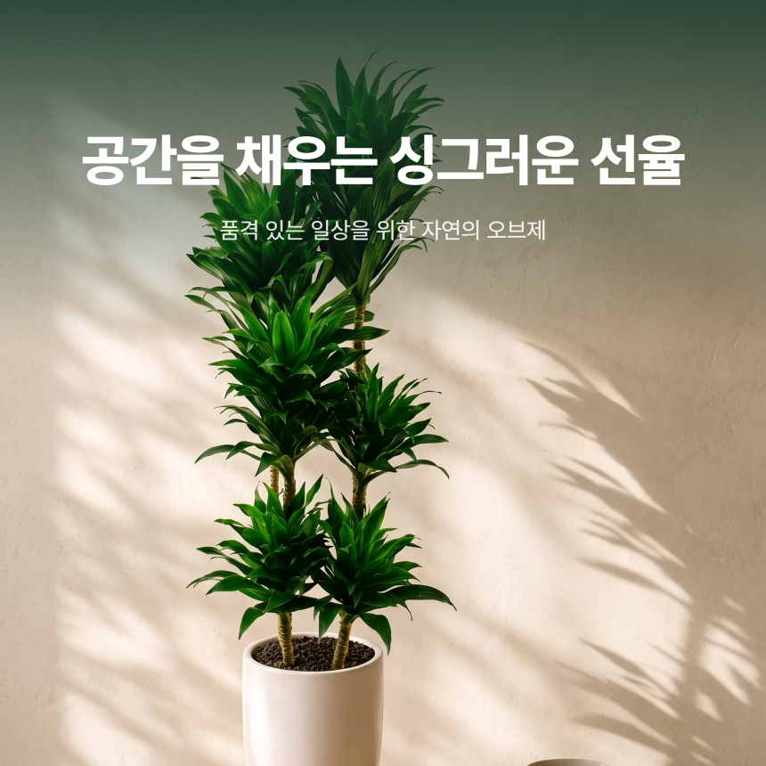 section-01.png b84ca350f2b43a8c3744a49c27db31e0_1787883649_9044.png