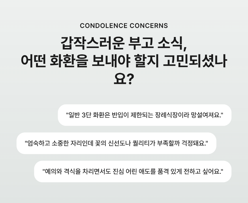 section-02.png 02c2a81bfc3b1c073698280642d84003_1789624577_5354.png