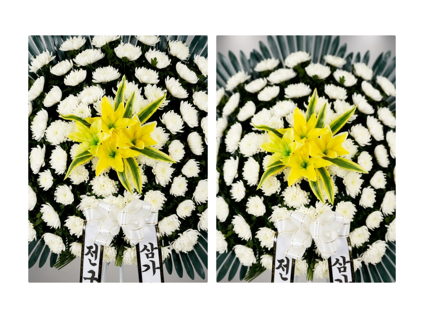 section-07.png 02c2a81bfc3b1c073698280642d84003_1789624577_941.png