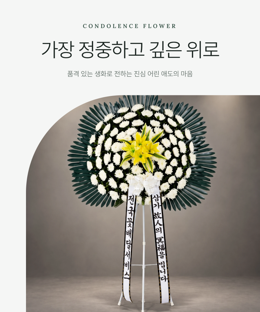 section-01.png 02c2a81bfc3b1c073698280642d84003_1789624577_9771.png