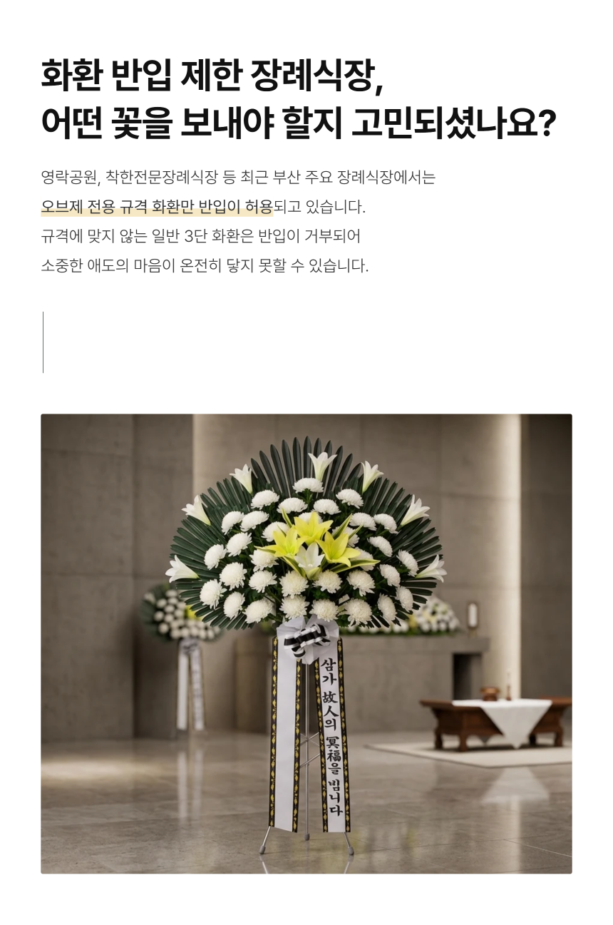 section-02.png 02c2a81bfc3b1c073698280642d84003_1789629611_2249.png