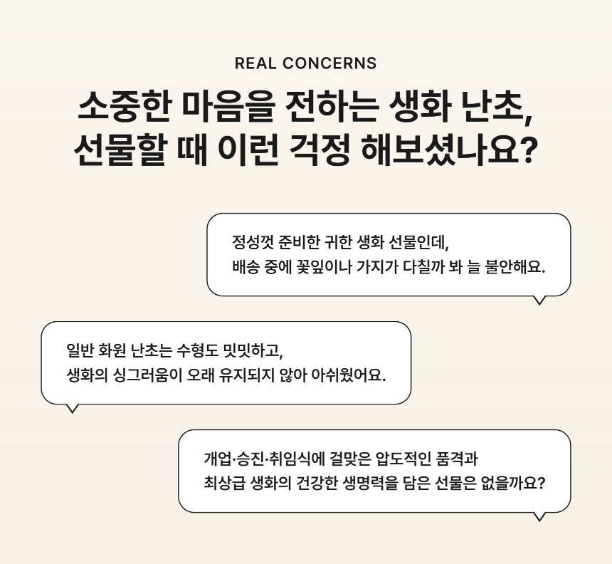 section-02.png 1b541cd863591b440ab137f409bd73fb_1790749831_3901.png