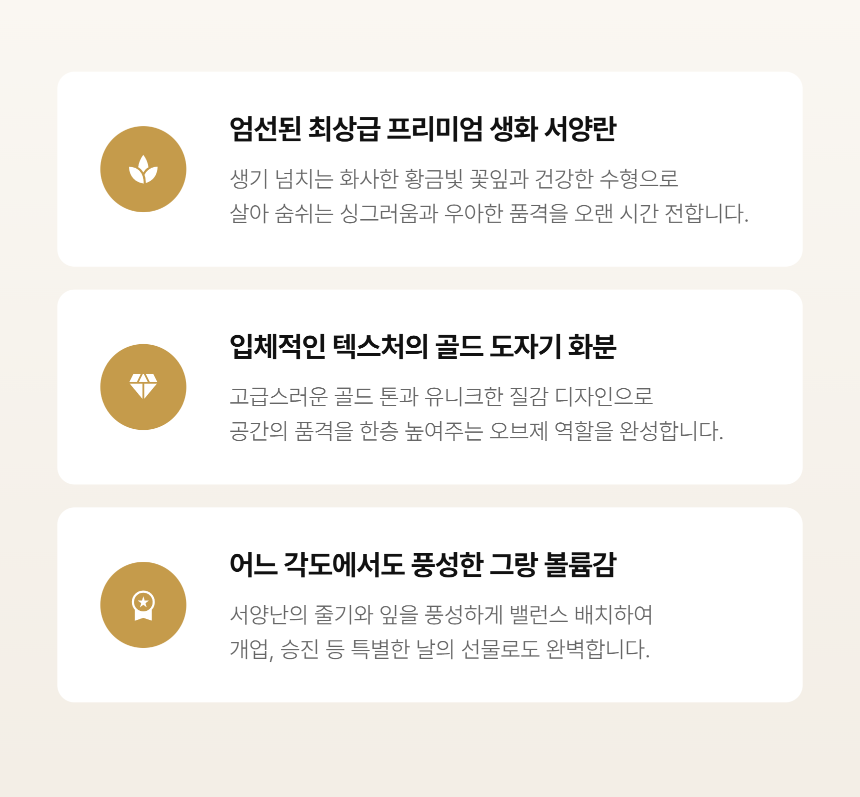 section-04.png 1b541cd863591b440ab137f409bd73fb_1790749831_4171.png