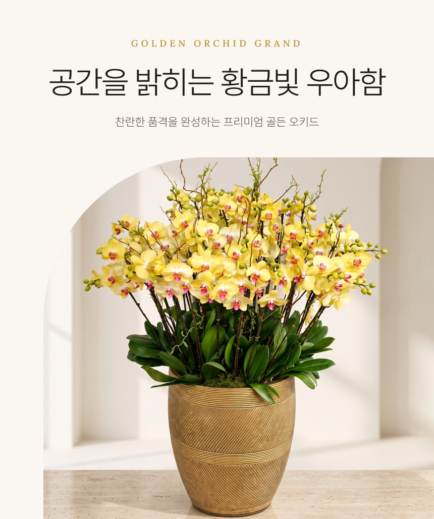 section-01.png 1b541cd863591b440ab137f409bd73fb_1790749831_7463.png