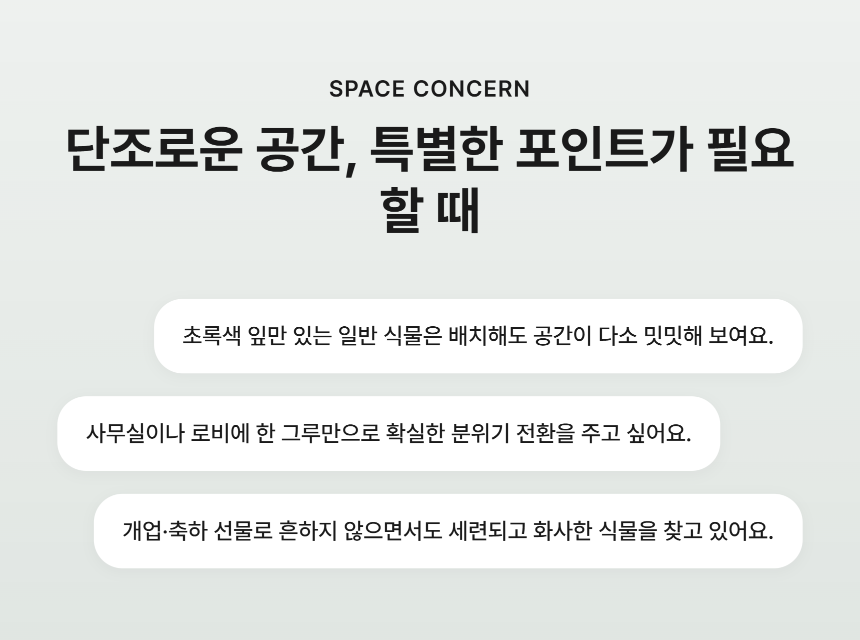 section-02.png 3359a011d4b500cd2e024400276e57c8_1788769328_0363.png