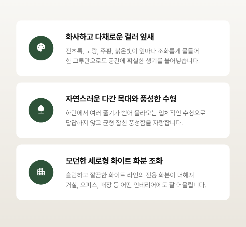 section-04.png 3359a011d4b500cd2e024400276e57c8_1788769328_1154.png