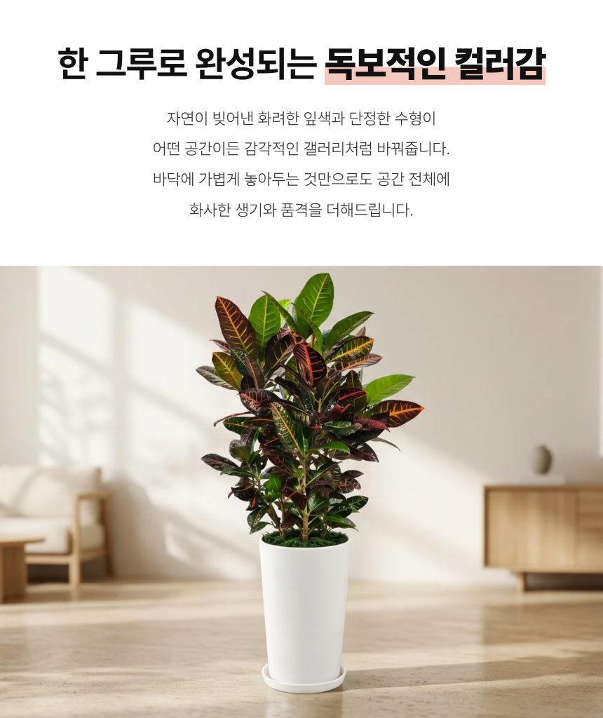 section-03.png 3359a011d4b500cd2e024400276e57c8_1788769328_3222.png