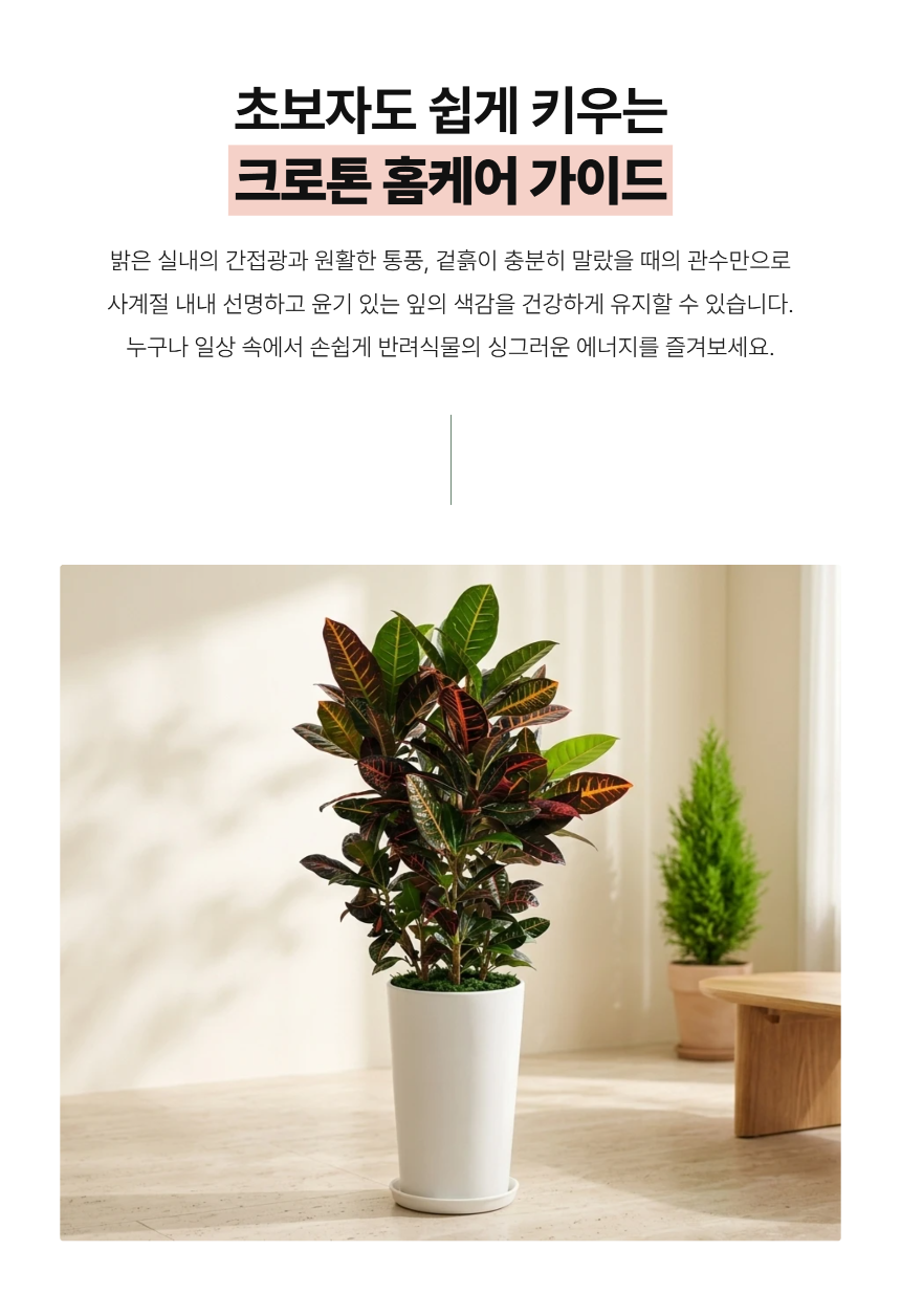 section-05.png 3359a011d4b500cd2e024400276e57c8_1788769328_3863.png