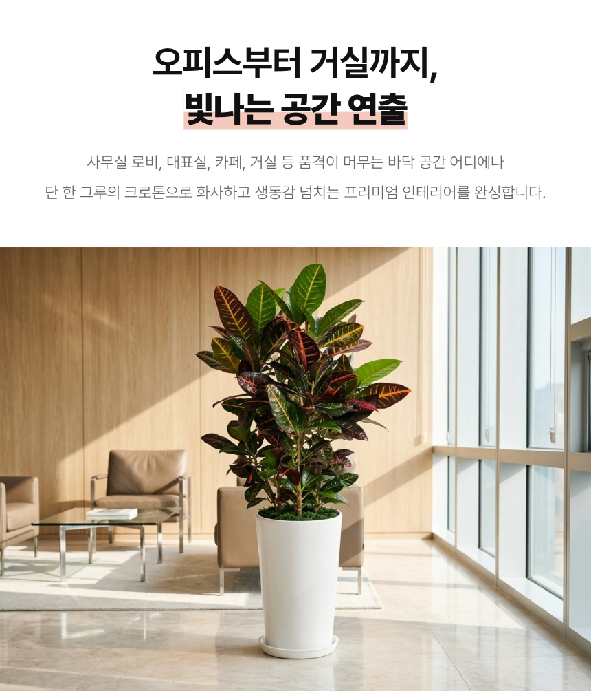 section-06.png 3359a011d4b500cd2e024400276e57c8_1788769328_5871.png