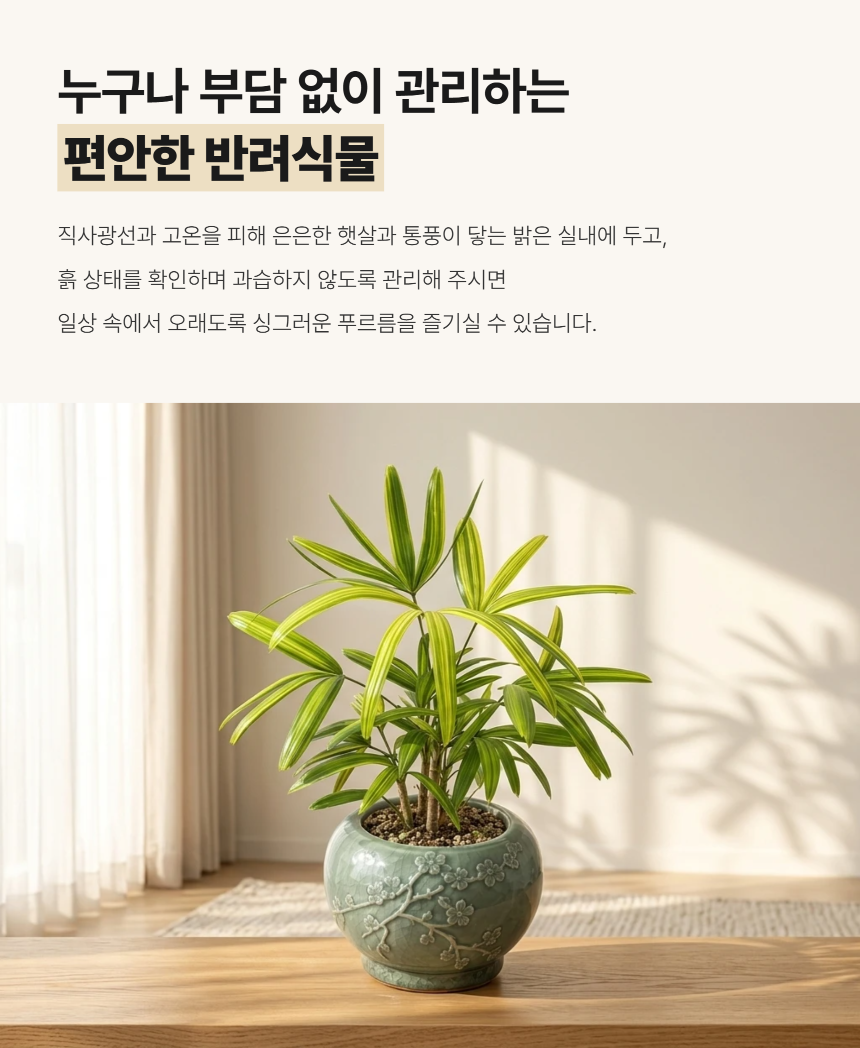 section-05.png 5290767dfb76a49ddf0d50abbb14000b_1789965773_9566.png