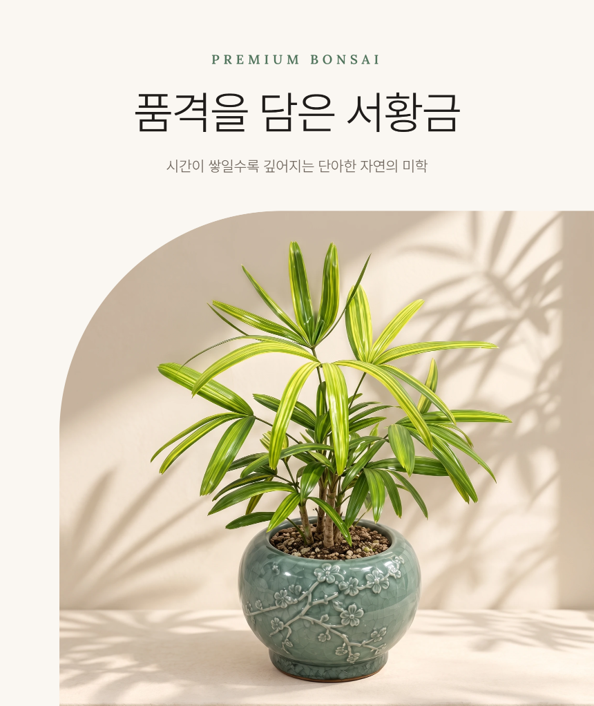 section-01.png 5290767dfb76a49ddf0d50abbb14000b_1789965774_0082.png
