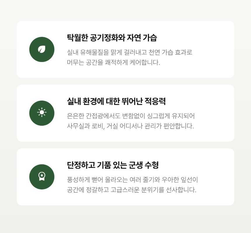 5ff96c19ed07d5e7357ba204d092b184_1789014419_3062.png