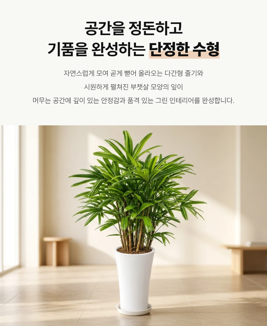 5ff96c19ed07d5e7357ba204d092b184_1789014419_5832.png