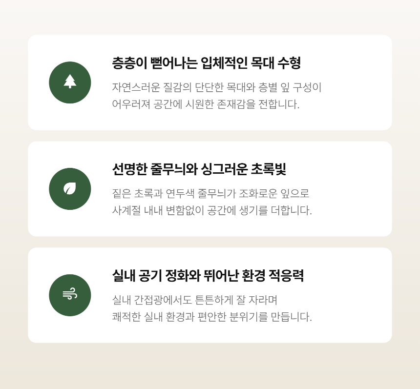 section-04.png 5ff96c19ed07d5e7357ba204d092b184_1789017833_4243.png