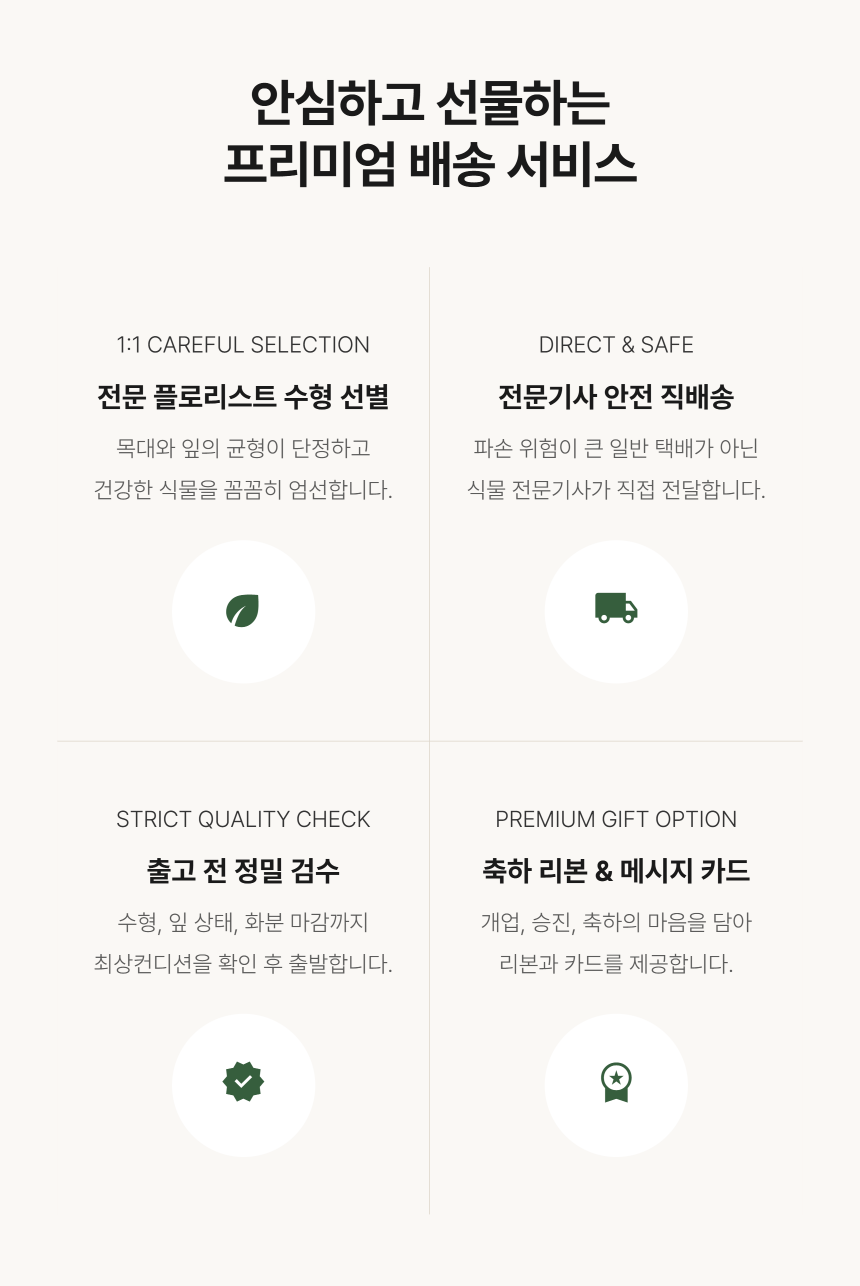 section-08.png 5ff96c19ed07d5e7357ba204d092b184_1789017833_472.png