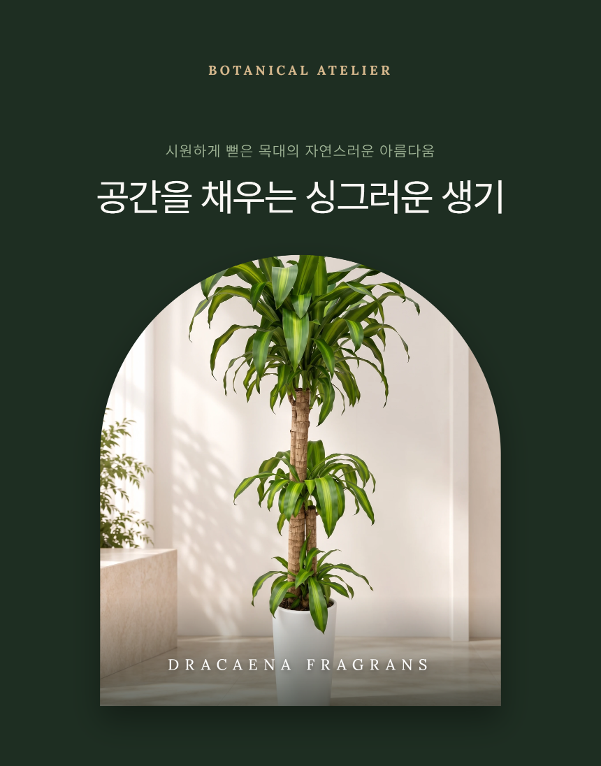 section-01.png 5ff96c19ed07d5e7357ba204d092b184_1789017833_6011.png