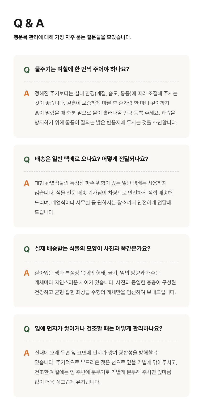 section-10.png 5ff96c19ed07d5e7357ba204d092b184_1789017833_6222.png