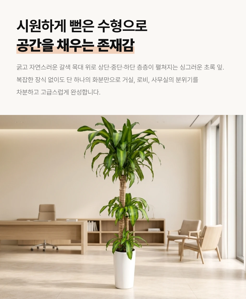 section-03.png 5ff96c19ed07d5e7357ba204d092b184_1789017833_6603.png