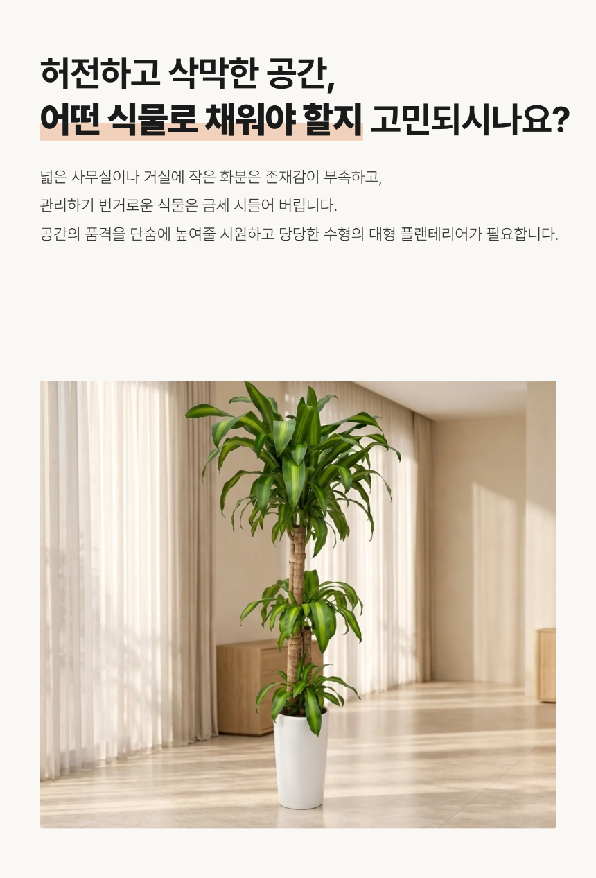 section-02.png 5ff96c19ed07d5e7357ba204d092b184_1789017833_7115.png