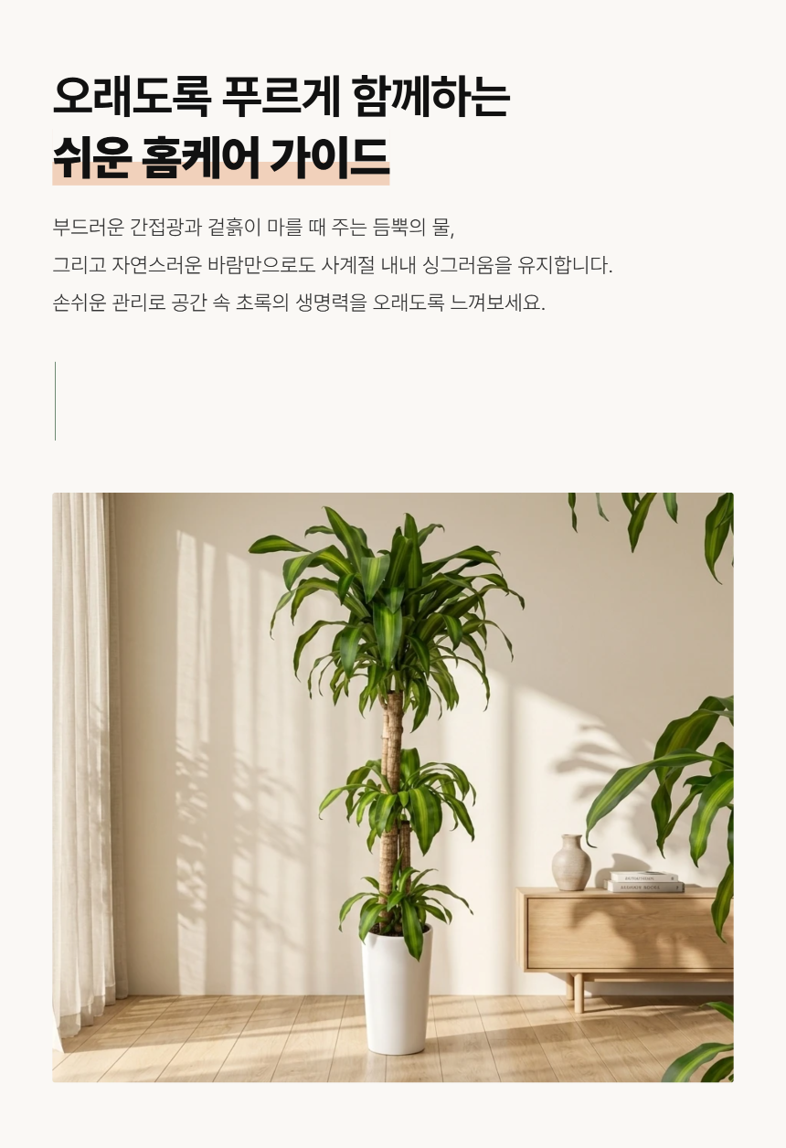 section-05.png 5ff96c19ed07d5e7357ba204d092b184_1789017833_7953.png