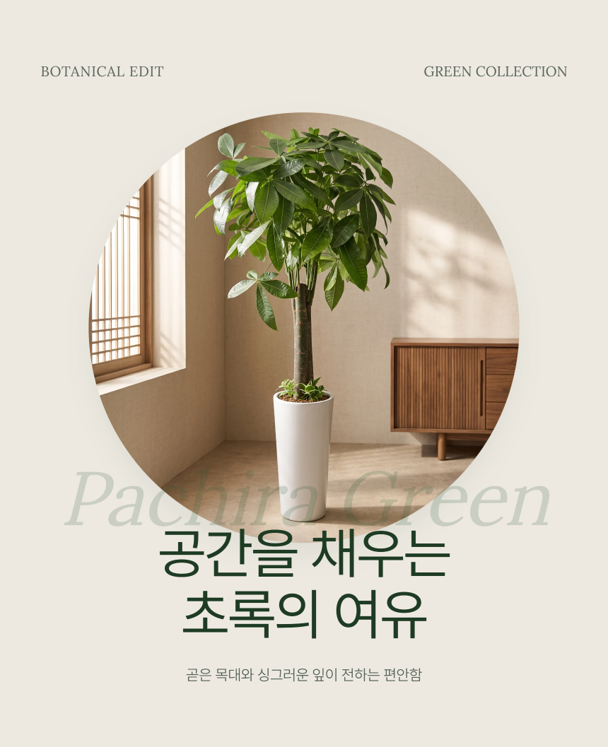 5ff96c19ed07d5e7357ba204d092b184_1789024479_3893.png
