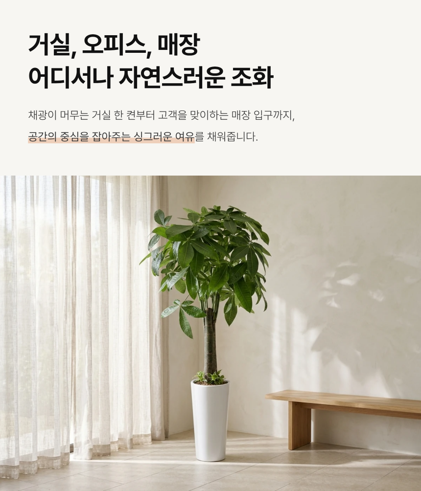 5ff96c19ed07d5e7357ba204d092b184_1789024479_4486.png