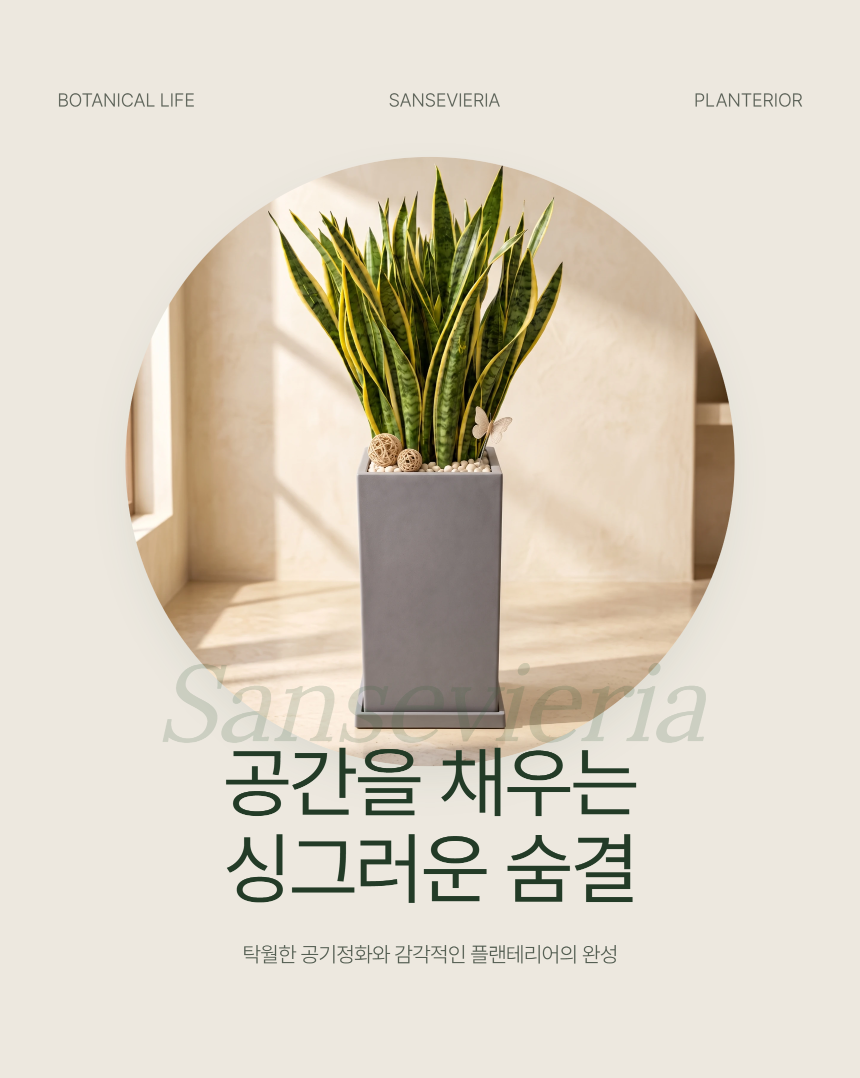5ff96c19ed07d5e7357ba204d092b184_1789025942_91.png