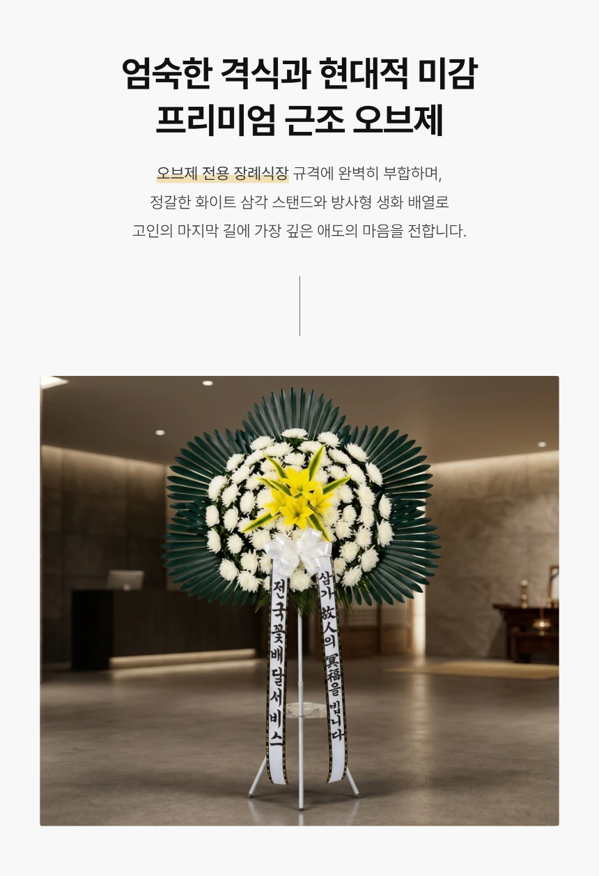 section-03.png c157dbc2e1154f4c2e30814c664150a2_1790742982_3108.png