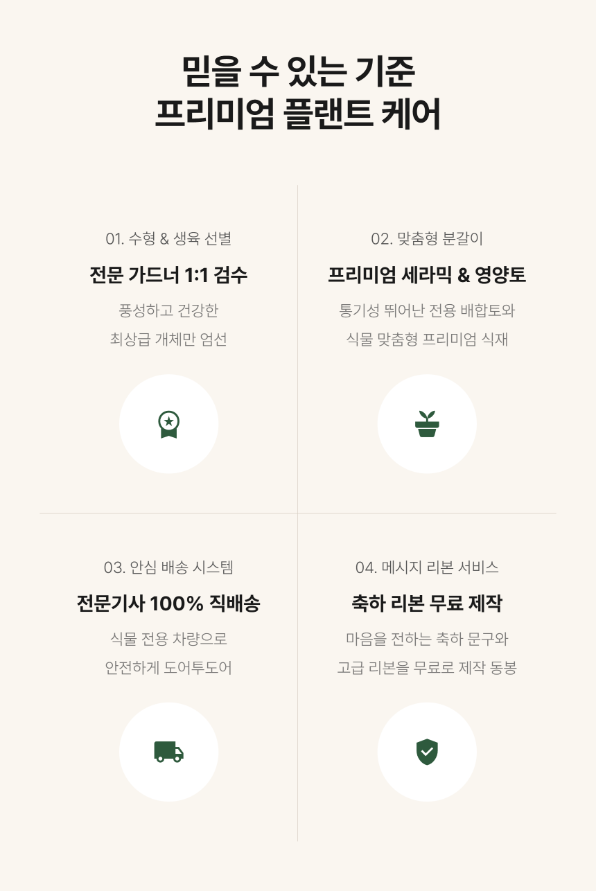 section-08.png c157dbc2e1154f4c2e30814c664150a2_1790746669_572.png