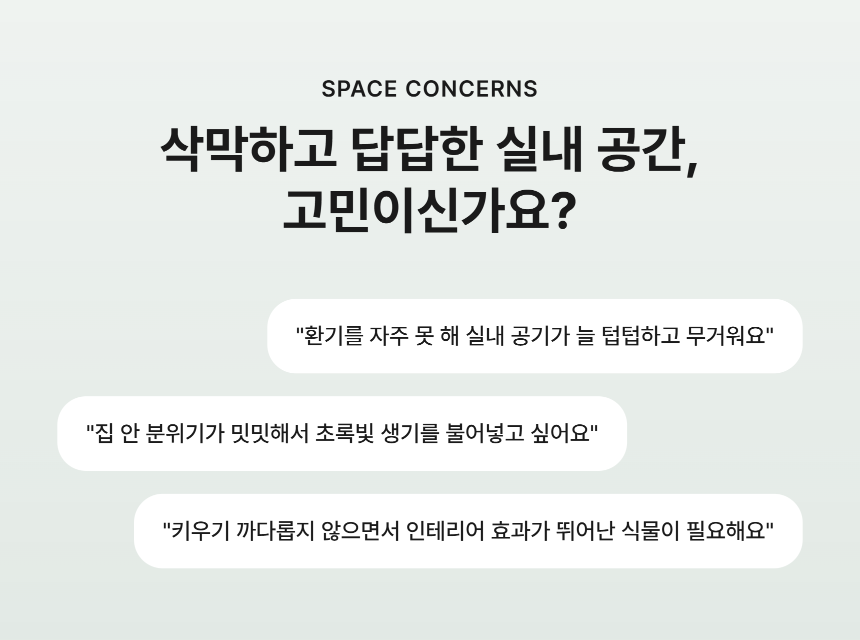 section-02.png c157dbc2e1154f4c2e30814c664150a2_1790746819_7897.png