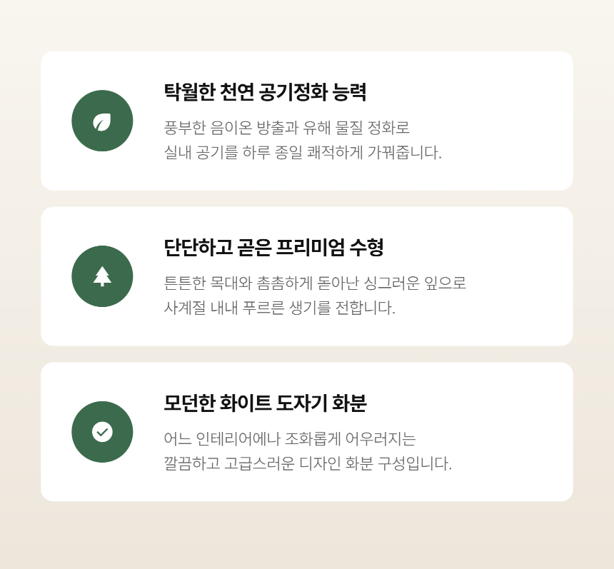 section-04.png c157dbc2e1154f4c2e30814c664150a2_1790746819_7964.png