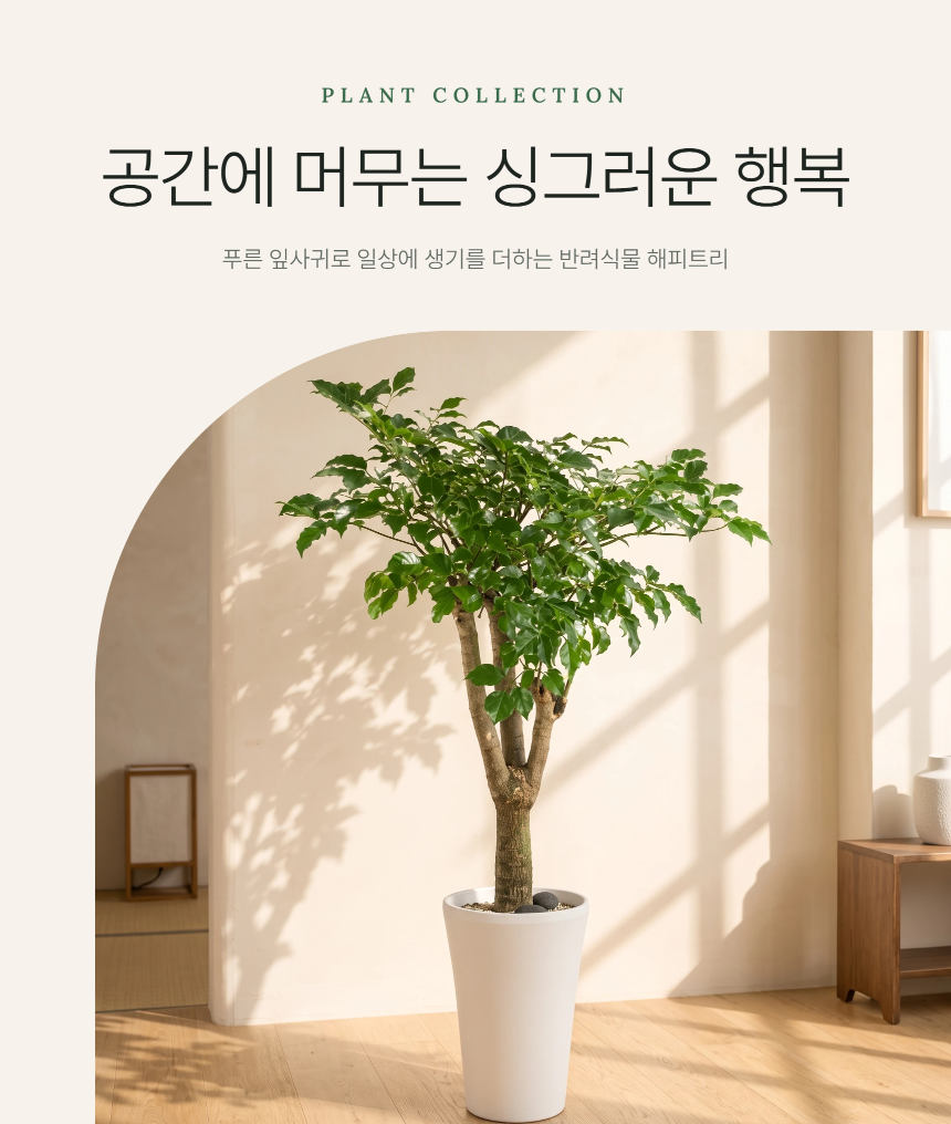section-01.png c157dbc2e1154f4c2e30814c664150a2_1790746820_0333.png