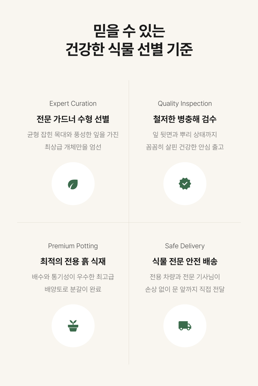 section-08.png c157dbc2e1154f4c2e30814c664150a2_1790746820_0435.png