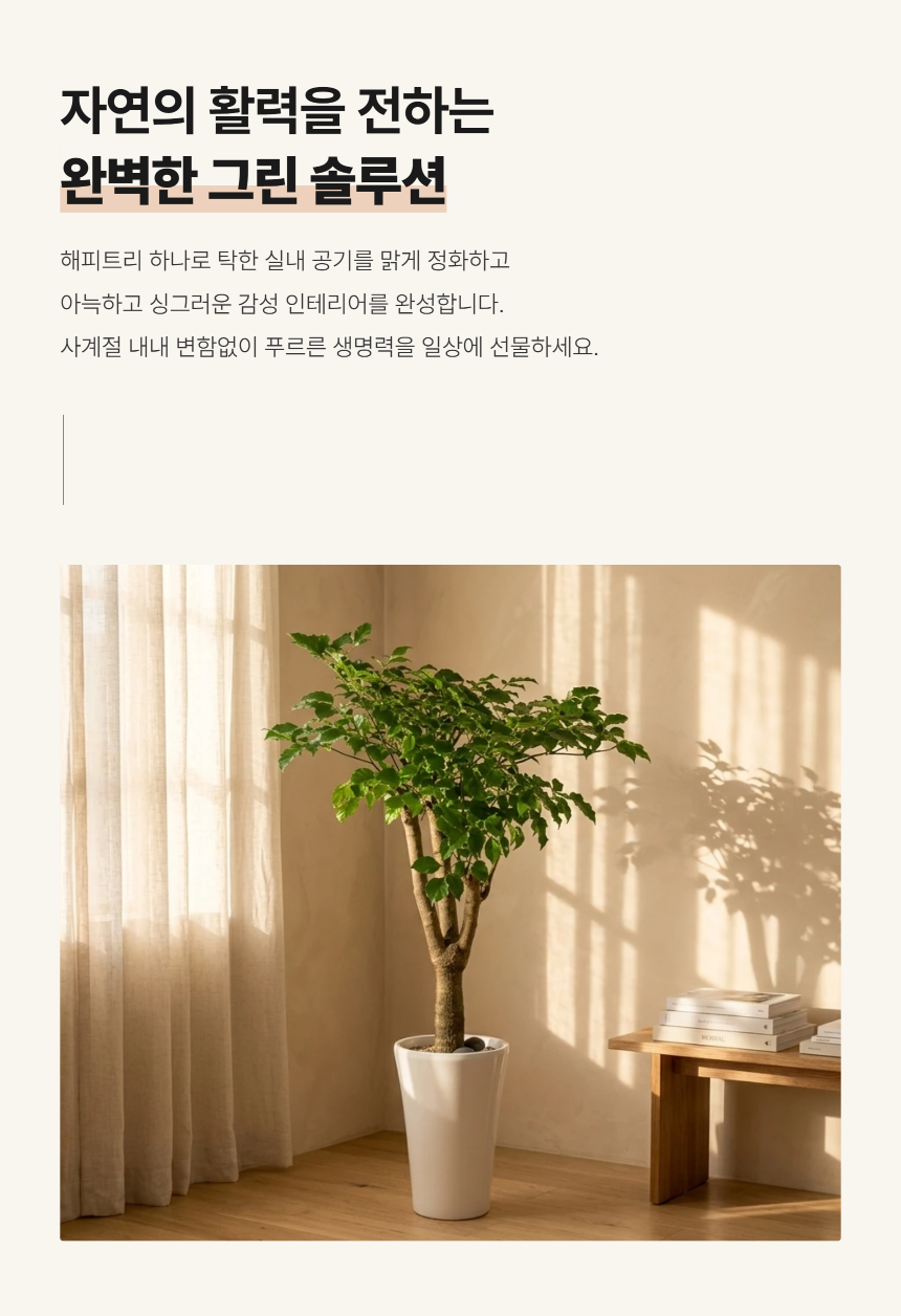 section-03.png c157dbc2e1154f4c2e30814c664150a2_1790746820_1186.png