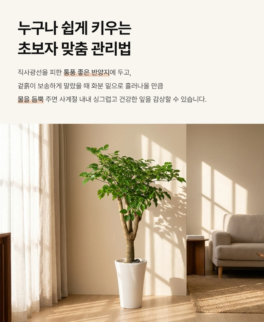 section-05.png c157dbc2e1154f4c2e30814c664150a2_1790746820_1437.png