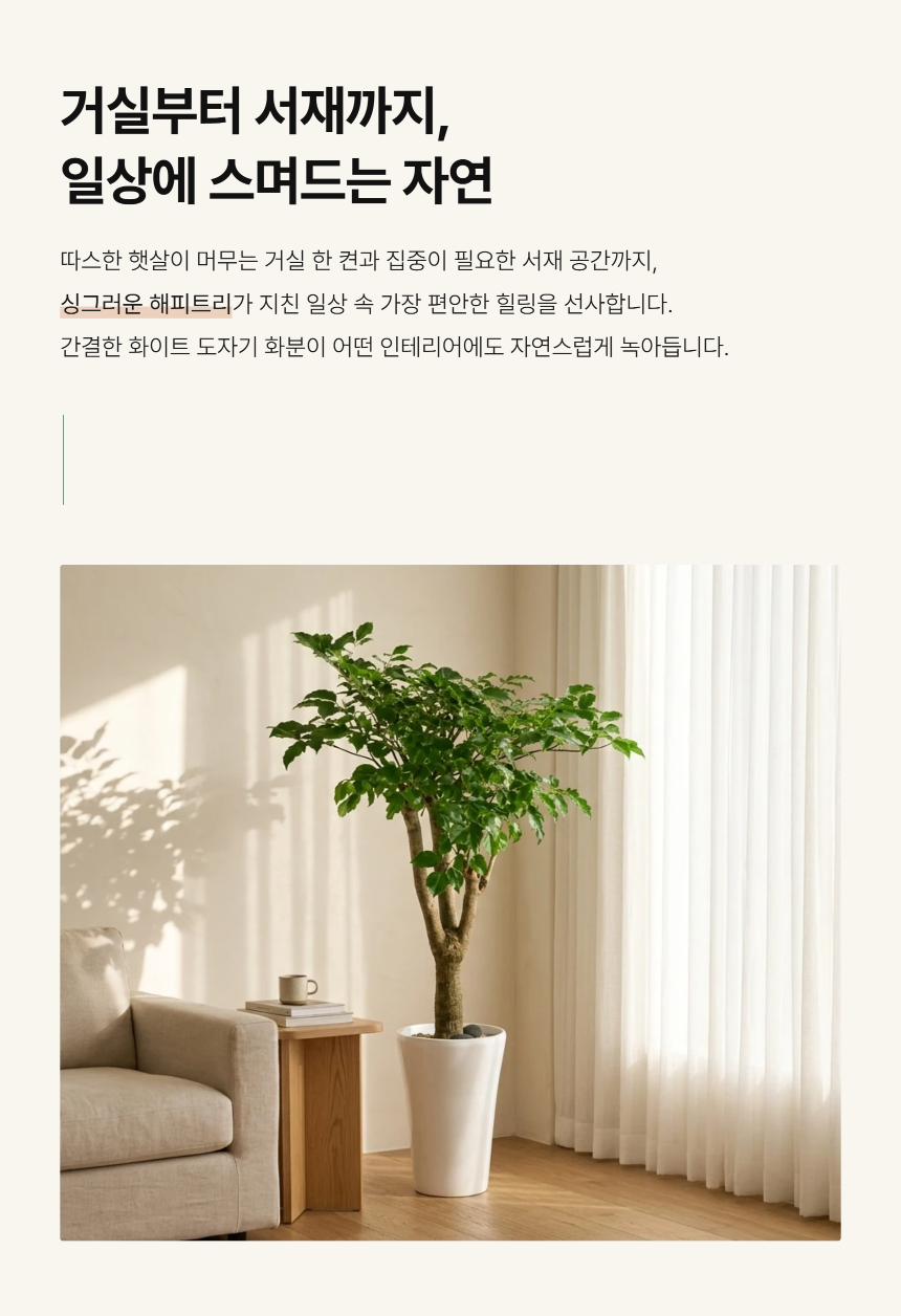 section-06.png c157dbc2e1154f4c2e30814c664150a2_1790746820_1662.png