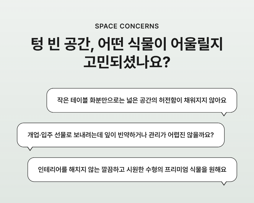 section-02.png c1c87518a3b46d260c7d6438d3ce4757_1788760809_986.png