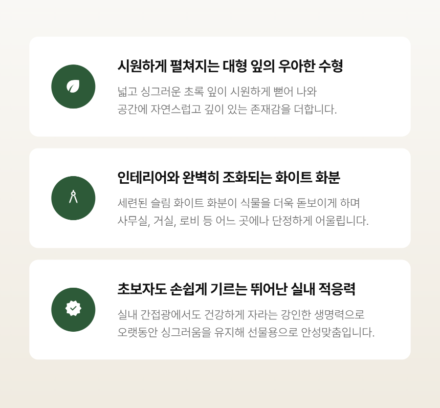 section-04.png c1c87518a3b46d260c7d6438d3ce4757_1788760809_9937.png